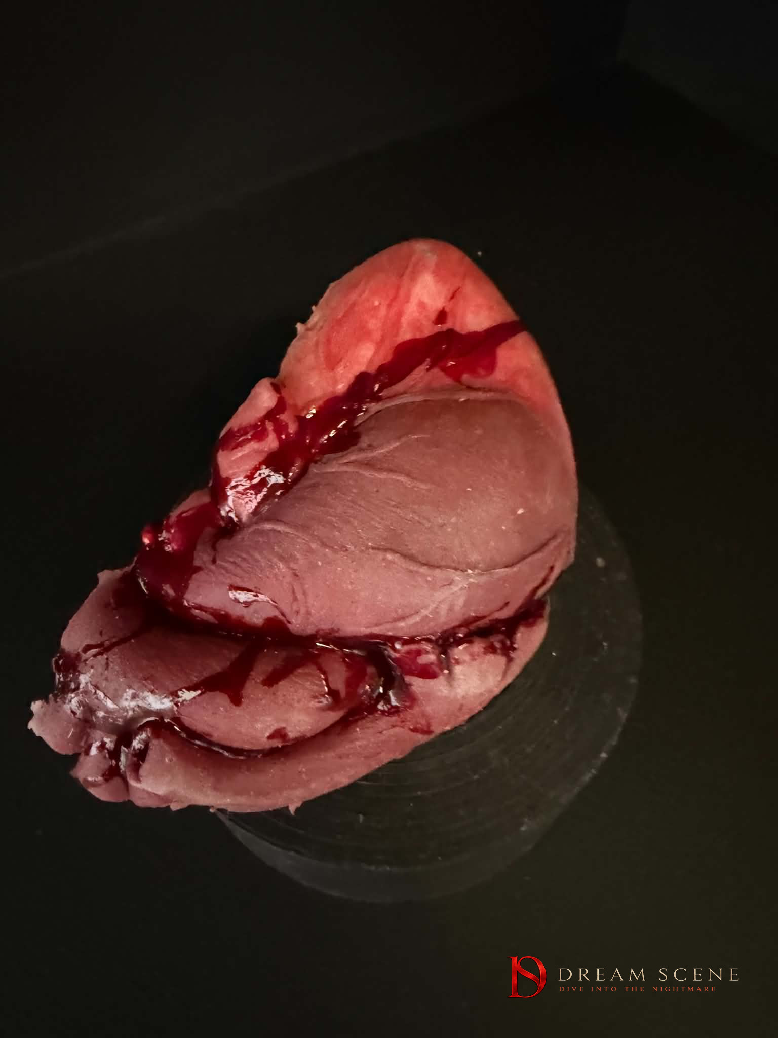 Human Heart