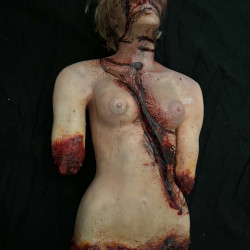 Cut Kate